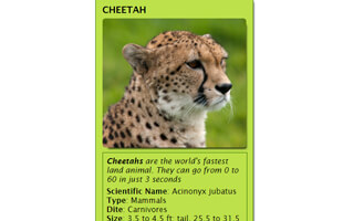 Animal Traiding Card
